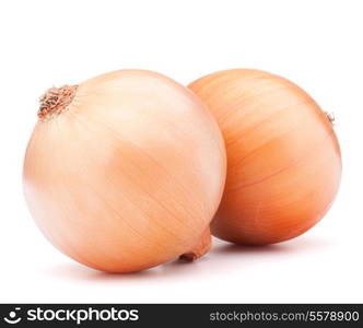 Gold onion vegetable bulbs on white background cutout