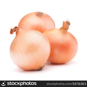 Gold onion vegetable bulbs on white background cutout