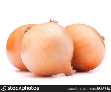 Gold onion vegetable bulbs on white background cutout