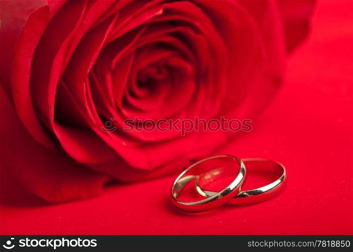 Gold wedding rings and red rose