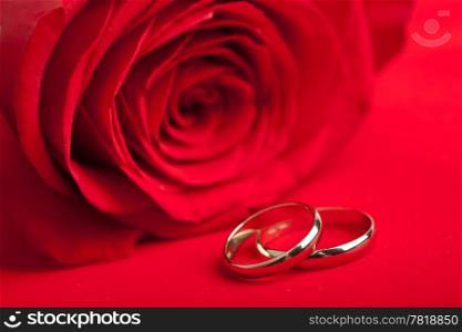 Gold wedding rings and red rose