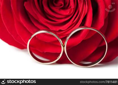 Gold wedding rings and red rose isolated