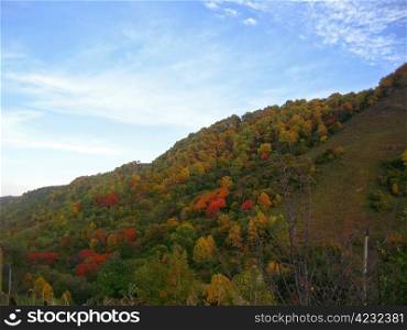 Golden autumn, blue sky and caucasus mountains