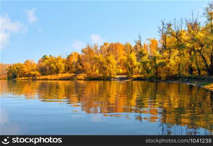 Golden autumn on calm river at sunny day. Golden autumn on river
