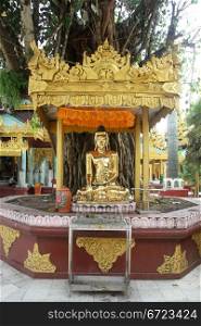Golden Buddha under sacral tree nar Shwe Dagon paya, Yangon, Myanmar
