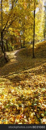 Golden carpet of autumn leaves with shadow of small hill in city park.