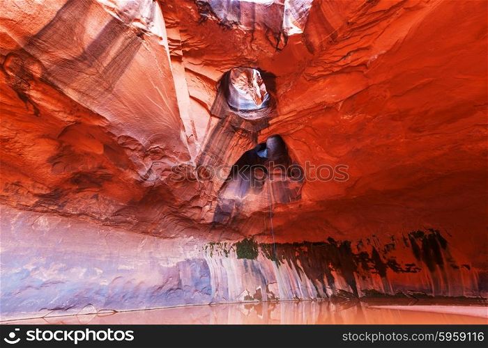 Golden Cathedral in Neon Canyon, Escalante National Park, Utah