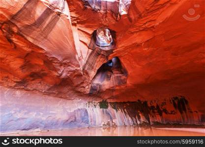 Golden Cathedral in Neon Canyon, Escalante National Park, Utah