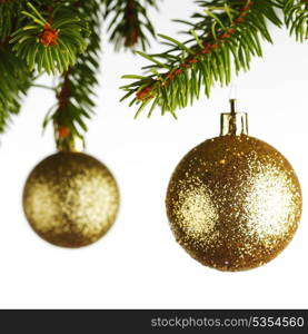 Golden christmas decoration on fir branch isolated on white background