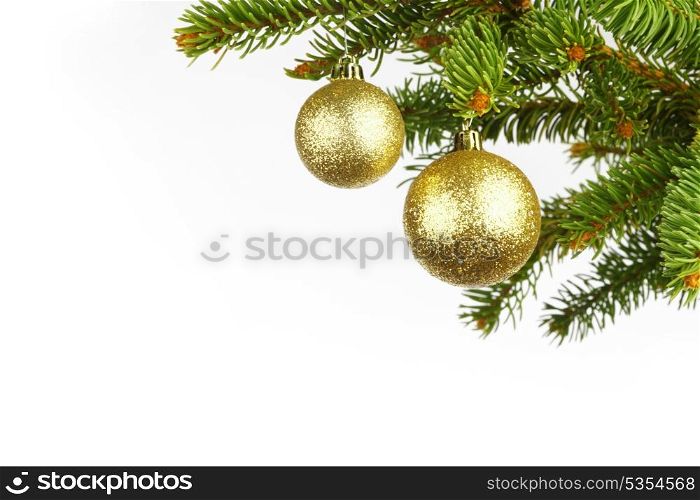 Golden christmas decoration on fir branch isolated on white background