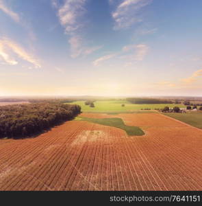Golden Corn field in late summer. Aerial farming landscape at sunset.