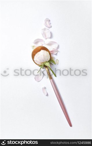 Golden dessert spoon with fresh natural organic rose flower in it and tender petals on a light grey background, copy space. Valentine&rsquo;s day greeting card.. Golden long spoon with rose flower.