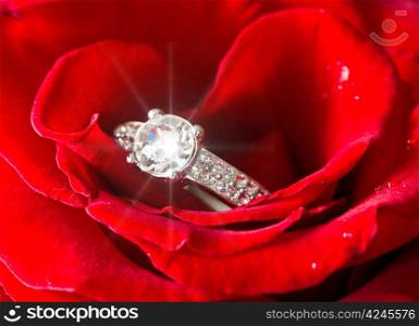 Golden diamond ring and rose