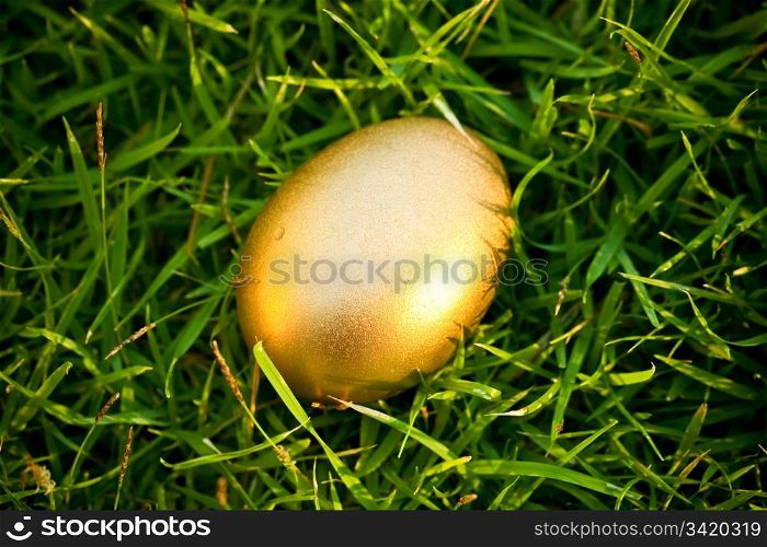 Golden egg laying on the green grass