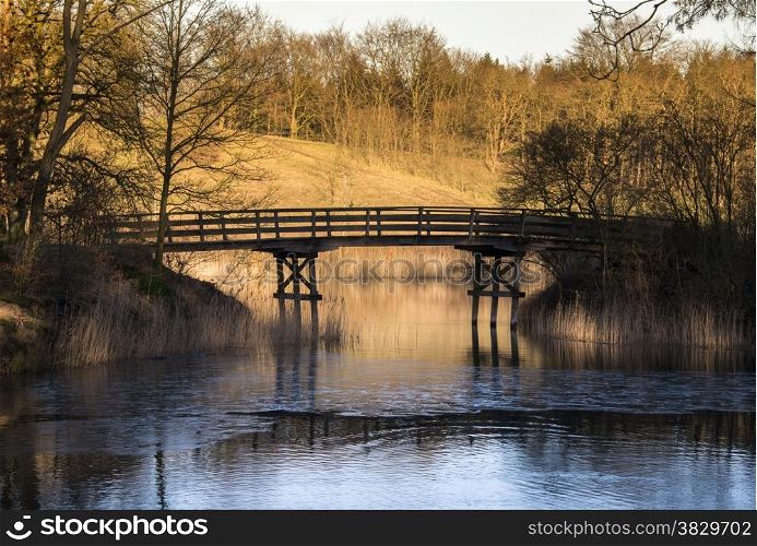 golden evening sunlight in nature park with bridge and water