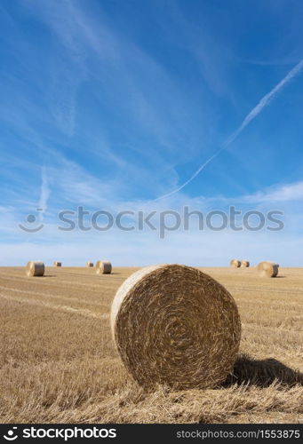 golden field with round straw bales under blue sky in the north of france