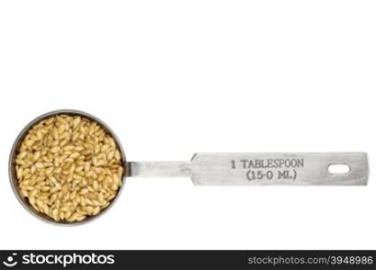 golden flax seeds in a metal measuring tablespoon isolated on white