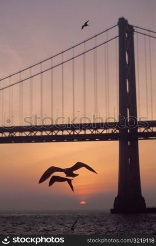 Golden Gate Bridge at Sunset