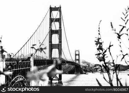 Golden Gate bridge,San Francisco,USA with San Francisco bay view