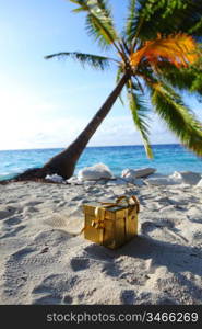 golden gift on ocean beach under palm