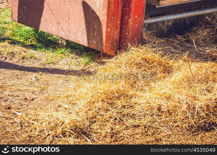 Golden hay at a stable in a countryside in the summer