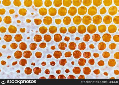 golden honey drop background texture