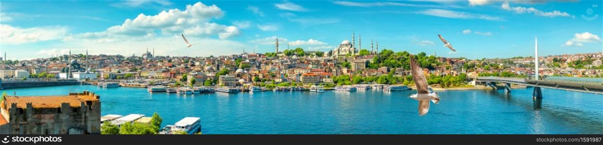 Golden Horn in Istanbul and view of Suleymaniye Mosque