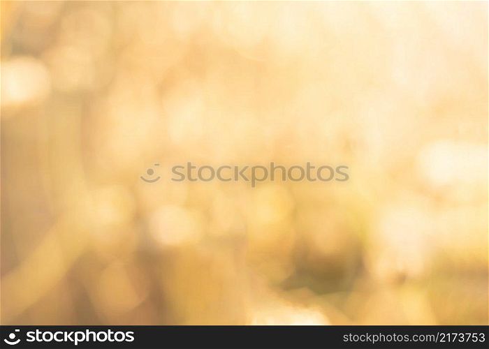 Golden light and bokeh on blur background