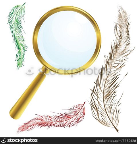 Golden magnifing glass with vintage feathers