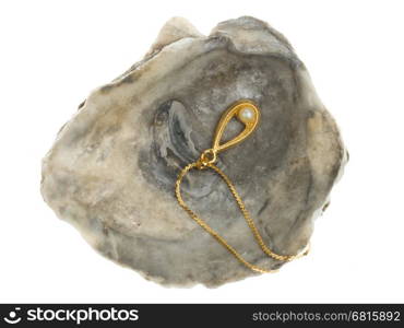 Golden necklace with a pearl in a oystershell on a white background