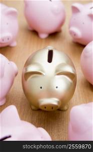 Golden Piggy Bank Among Many Pink Ones