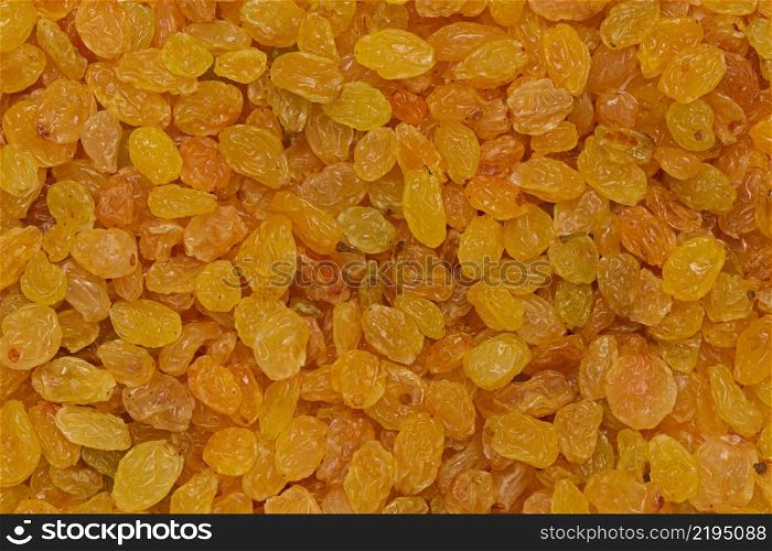 Golden raisins background or texture. Golden raisins background