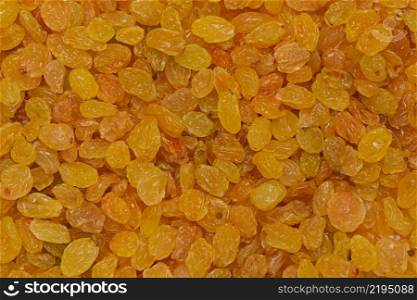 Golden raisins background or texture. Golden raisins background
