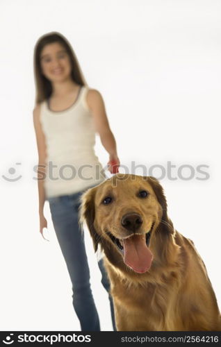 Golden Retriever dog on leash with adolescent female Caucasian.