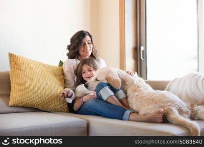 Golden Retriever Junior dog with her human family at home