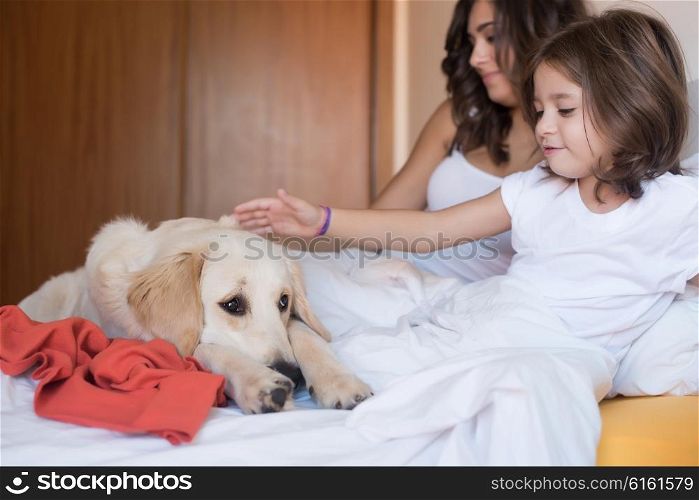 Golden Retriever puppy dog in the bed with human family - Focus on dog