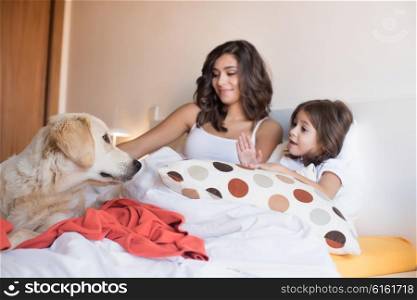 Golden Retriever puppy dog in the bed with human family - Focus on dog