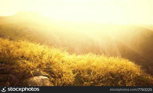 golden rocks and grass in mountains