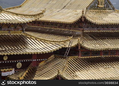 Golden roof of Langmusi temple , sichuan, china