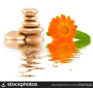Golden spa stone and calendula flowers