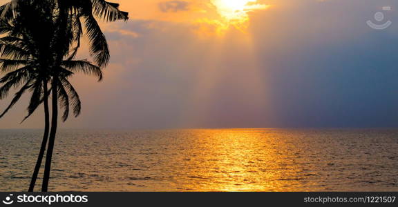 Golden sunset over the ocean and coconut tree. The concept is travel.