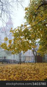 Golden tree foliage in autumn city park and building of bank behind