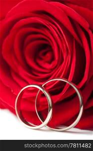 Golden wedding rings and red rose isolated