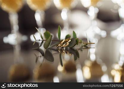 golden wedding rings on a glass table with eucalyptus. champagne glasses on the background. selective focus.. golden wedding rings on a glass table with eucalyptus. champagne glasses on the background. selective focus