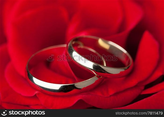 Golden wedding rings over red rose