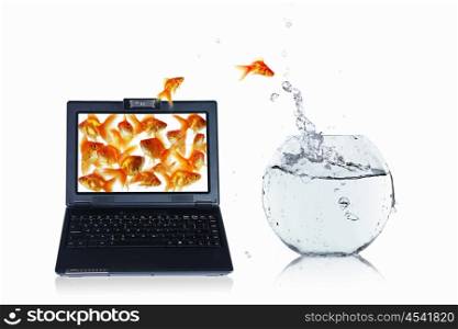 Goldfish and laptop. Collage.