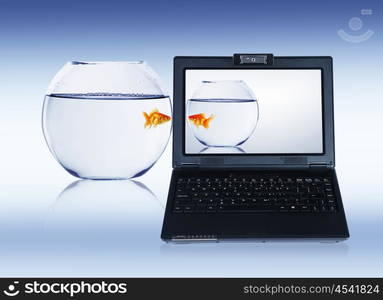 Goldfish and laptop. Collage.