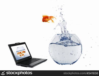 Goldfish and laptop. Collage.