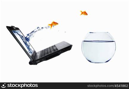 Goldfish and laptop. Collage.