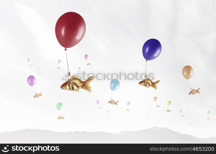 Goldfish fly on balloon. Concept of surrealism with gold fish flying on air balloon